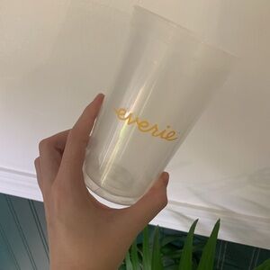 16oz double walled plastic Everie cup